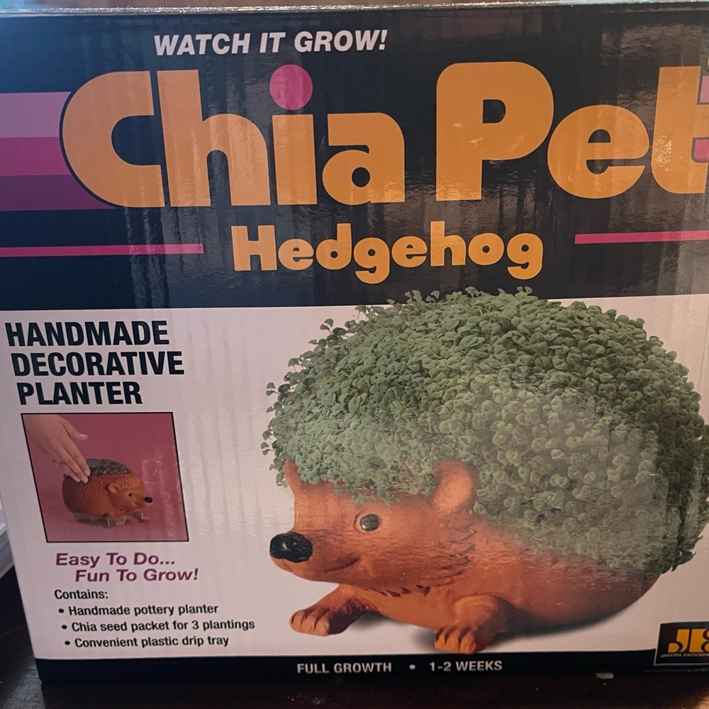 Chia pet hedgehog BRAND NEW